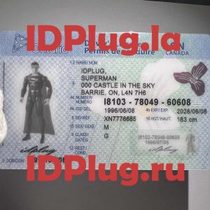 CANADA ONTARIO 2022（Real Lense and Fully Polycarbonate）