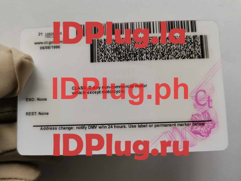 CONNECTICUT NEW fake id - Image 2